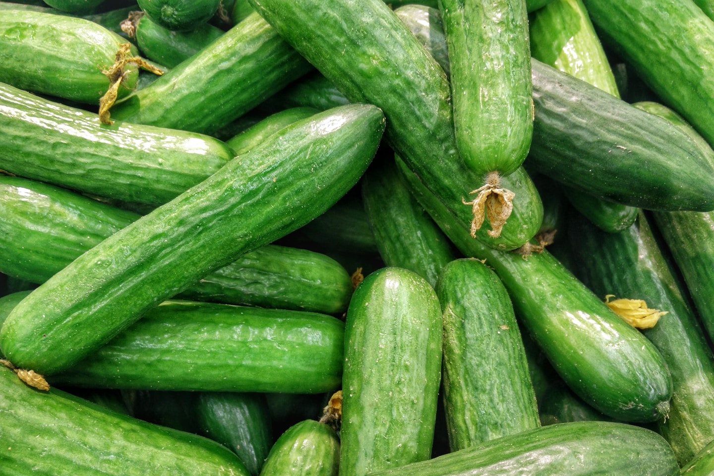 Cucumbers